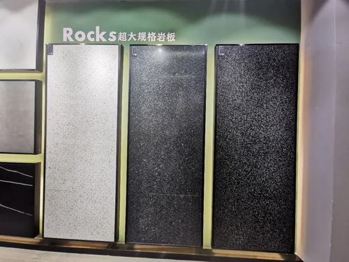 宝达集团张刚 岩板是现代仿古升级版，其进化应遵从市场逻辑，推动免漆扣板发展